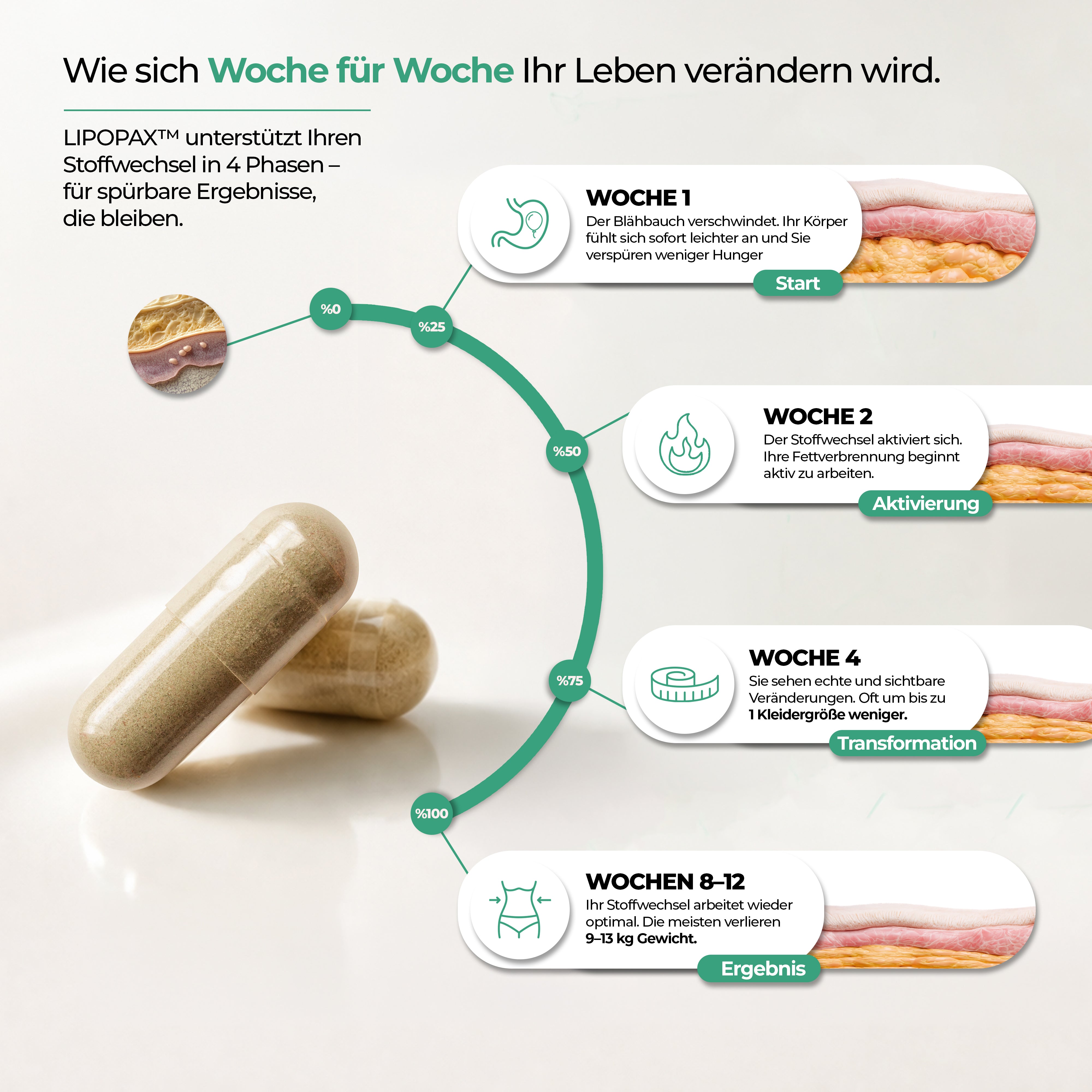 Lipopax_Wirkung
