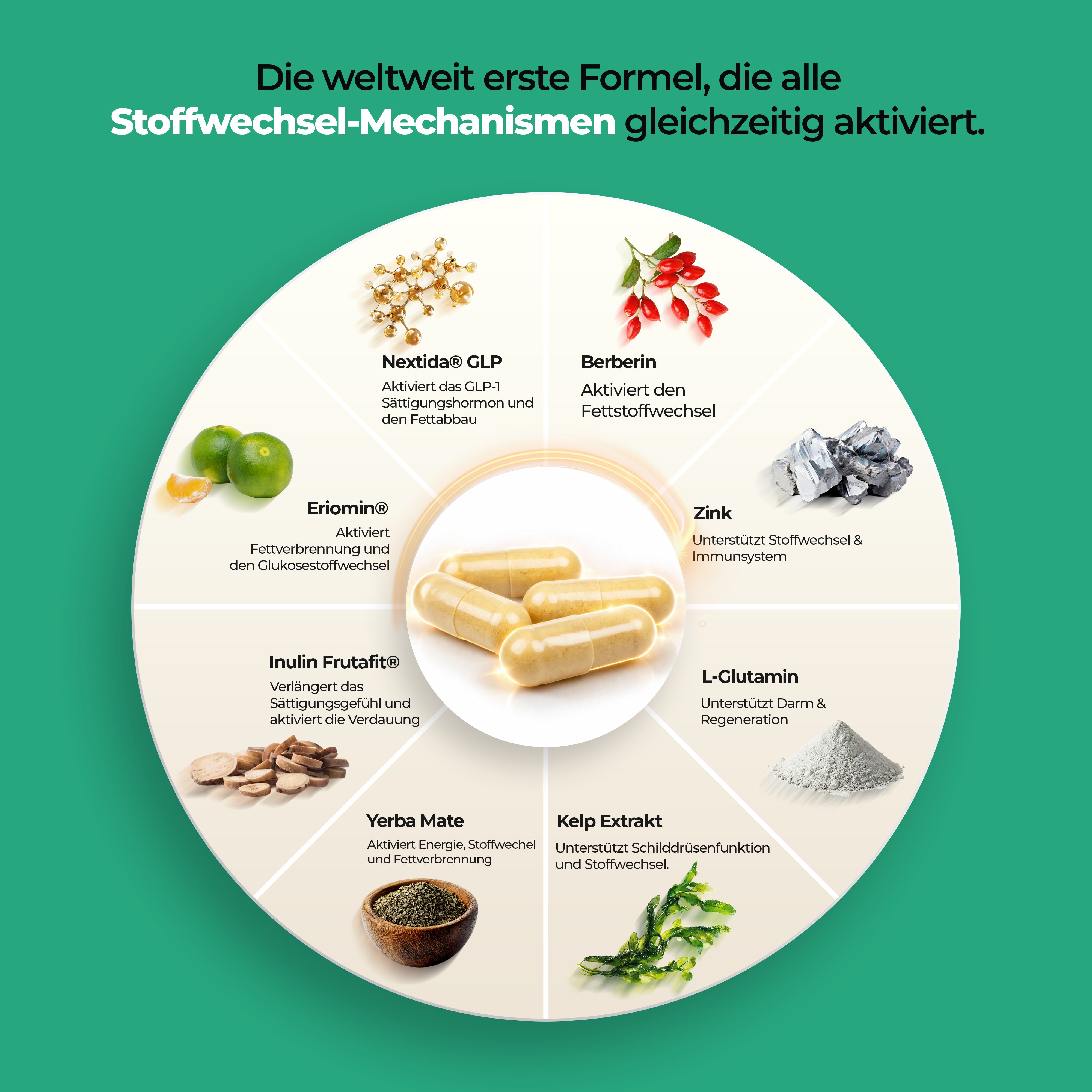 Lipopax™ GLP1 & Metabolism Komplex aus der Apotheke